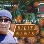 Kejaksaan Selidiki Mantan Pimpinan DPRD Sulsel dalam Kasus Pengadaan Bibit Nanas