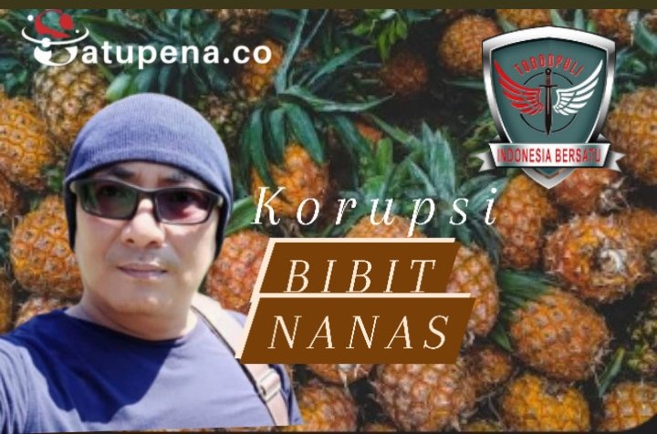 Kejaksaan Selidiki Mantan Pimpinan DPRD Sulsel dalam Kasus Pengadaan Bibit Nanas